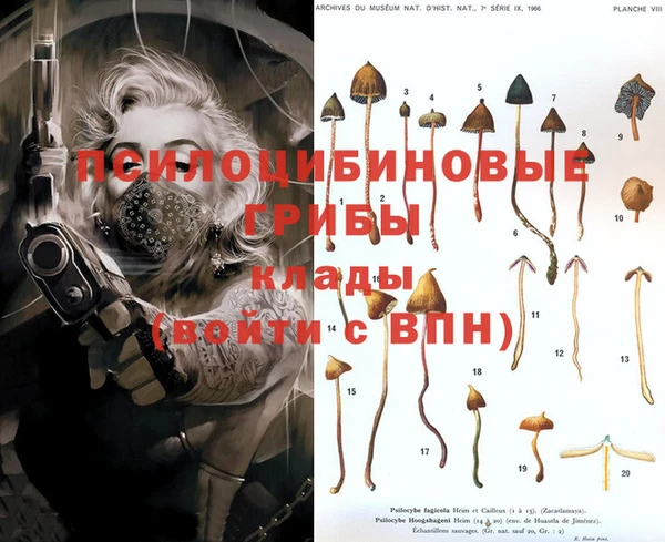 каннабис Белоозёрский