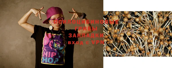 ALPHA PVP Беломорск
