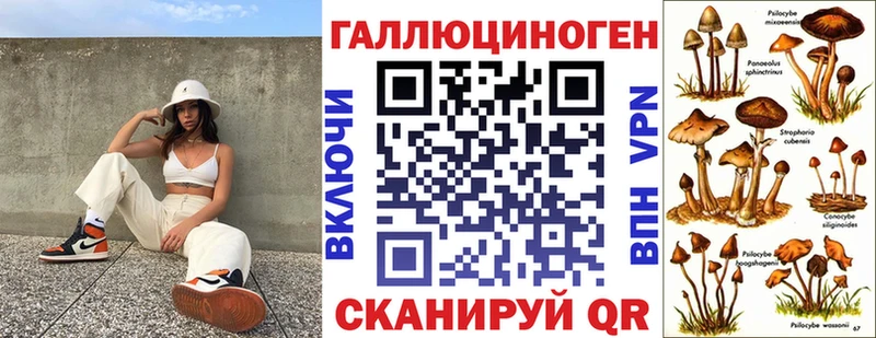 blacksprut вход  Шилка  Галлюциногенные грибы Magic Shrooms  купить наркоту 