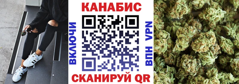 Шишки марихуана сатива  Шилка 